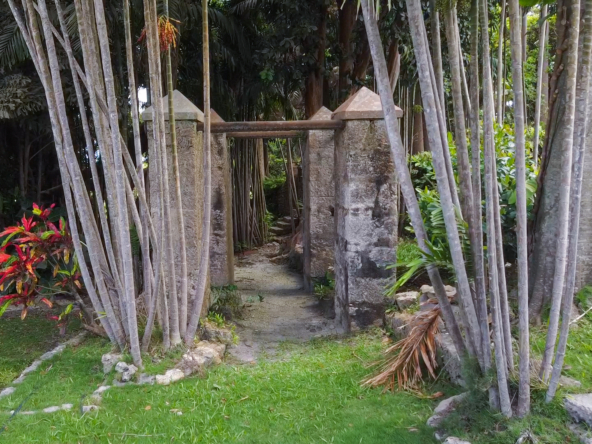 Apes Hill Great Estate Mature Gardens