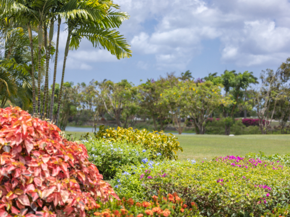 barbados golf resort villa Forest Hills 32 external view gardens and lake behind