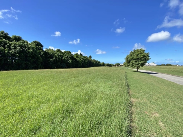 land on Barbado's west coast apes hill Lot No.6 view