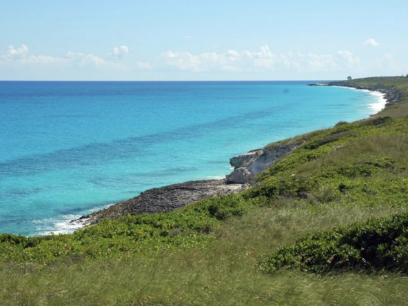whale-cay-the-bahamas-private-island-for-sale-caribbean