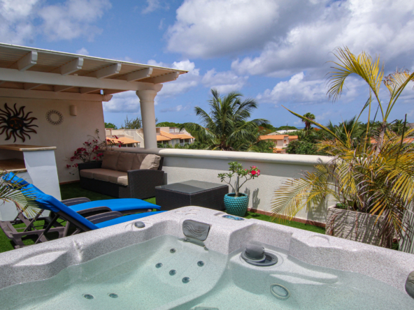 Penthouse-Sugar-Hill-B305-terrace
