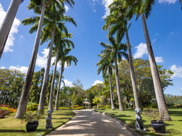 Grand Arrival - Majestic Driveway to Coral Sundown
