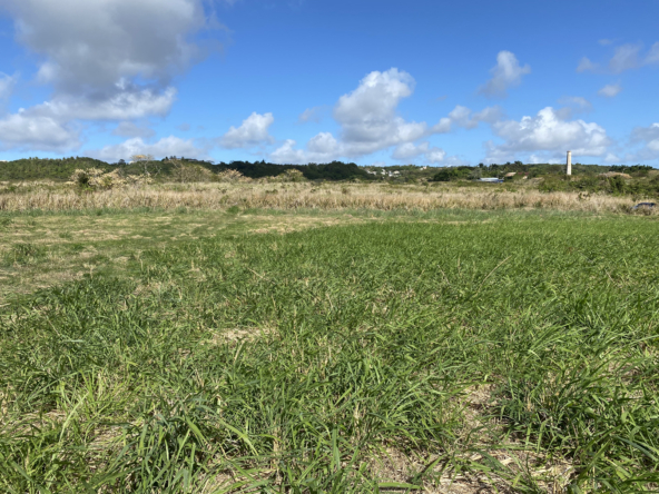 Lancaster Lot 1C-A, premium land for sale in a coveted location, perfect for building a luxurious retreat in Barbados