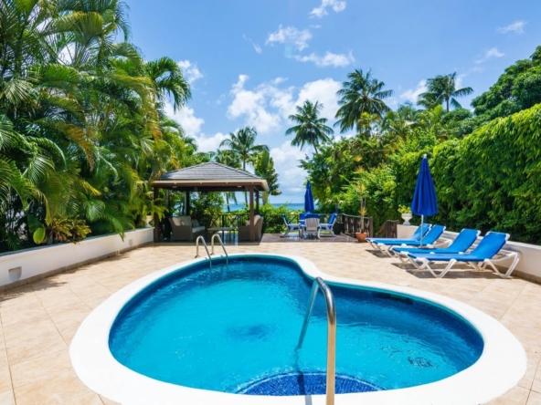 luxurious-beachfront-vacation-weston-house-the-garden