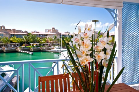 flowers on a balcony at luxury apartment with sea views